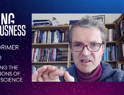 David Lorimer – Guest on Chasing Consciousness