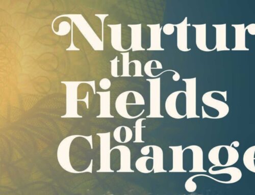 11-month Online Programme from Alef Trust: Nurturing the Fields of Change