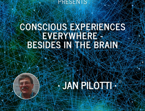 Jan Pilotti: Conscious Experiences Everywhere – besides in the brain