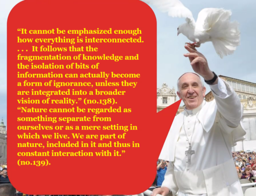 Pope Francis on Nature and Interconnectedness